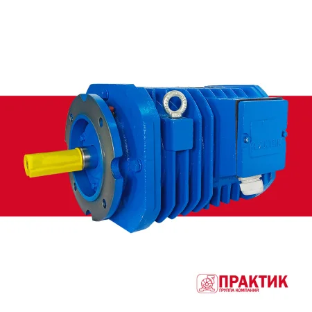 Электродвигатель рольганговый APM 64-8